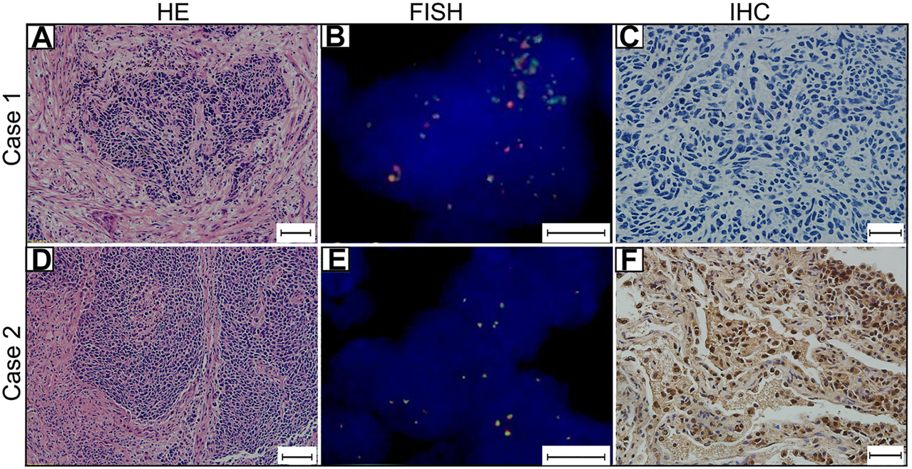 FIGURE 1