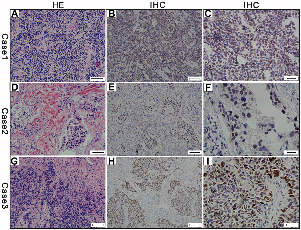 FIGURE 3