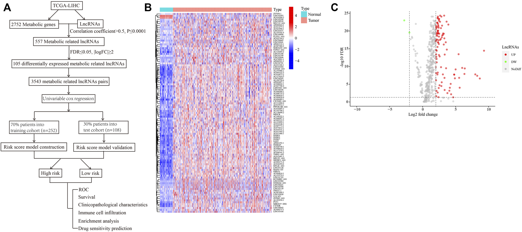 FIGURE 1