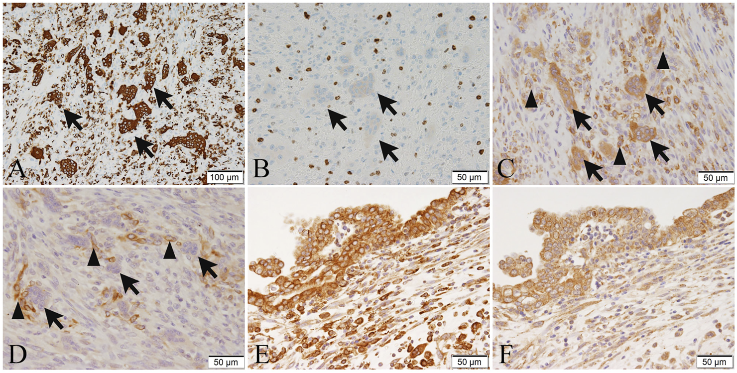 FIGURE 3
