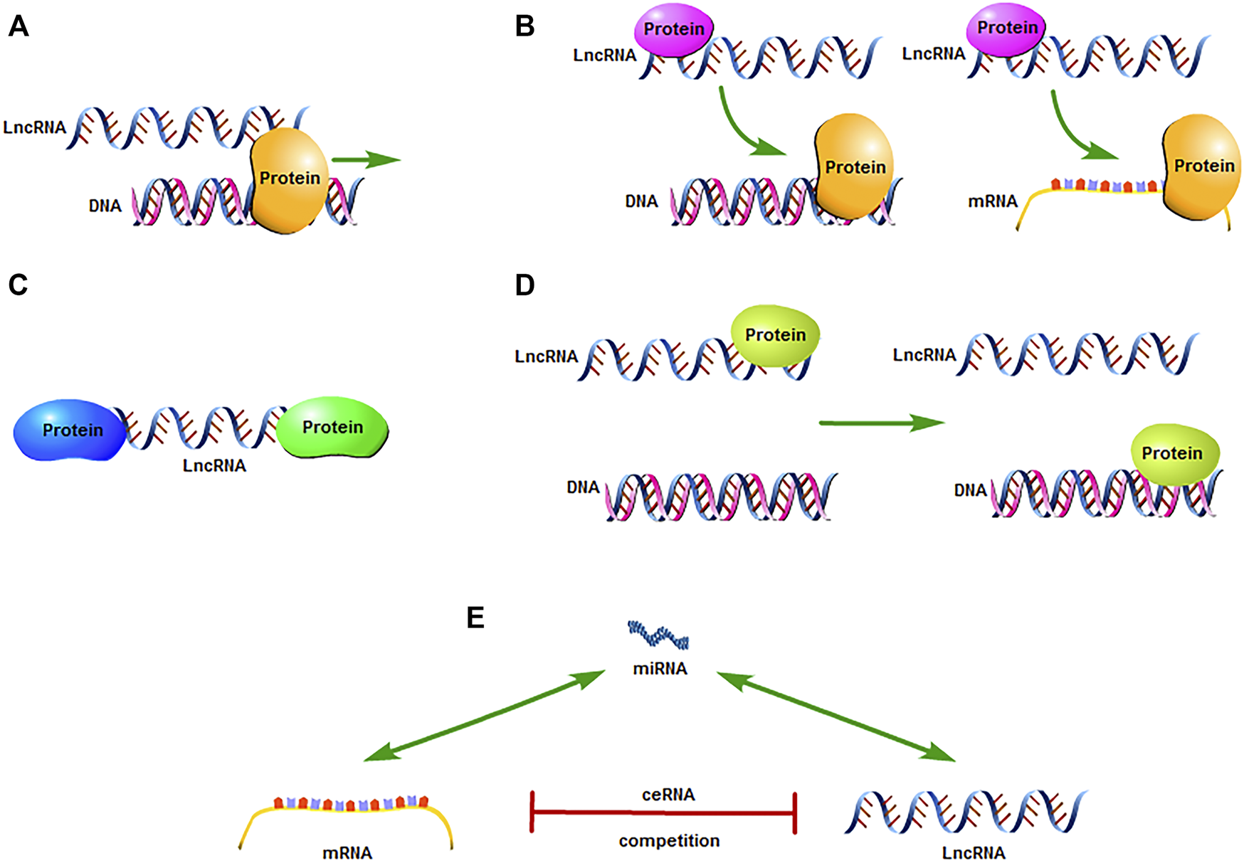FIGURE 1