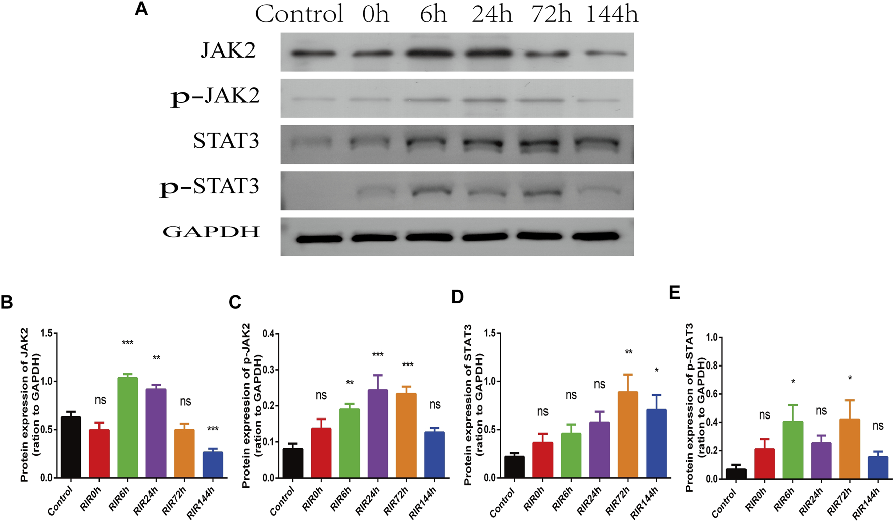 FIGURE 4