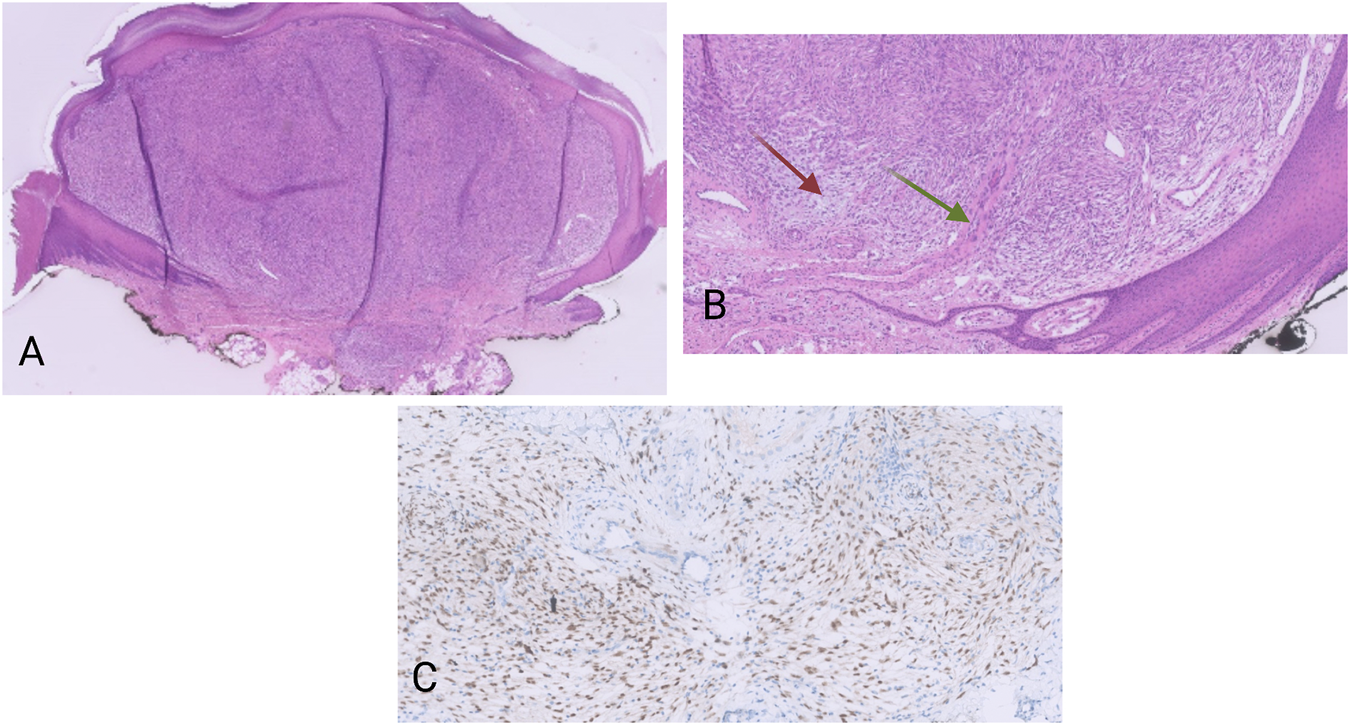 FIGURE 1