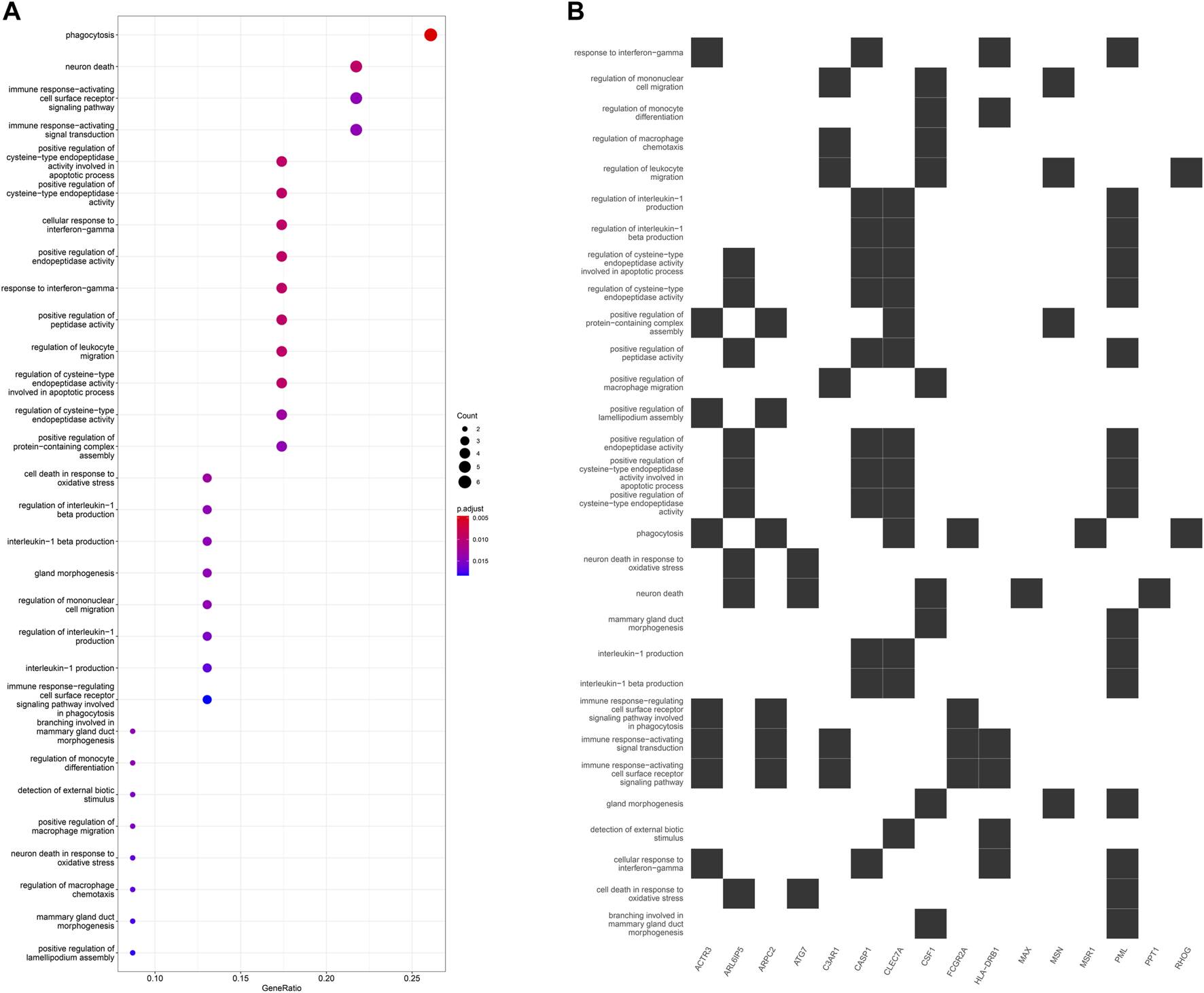 FIGURE 11