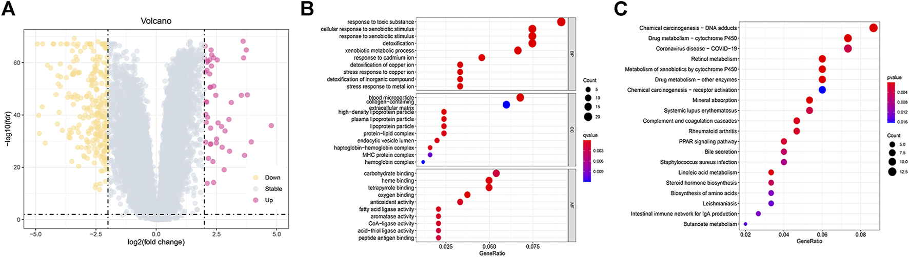 FIGURE 7