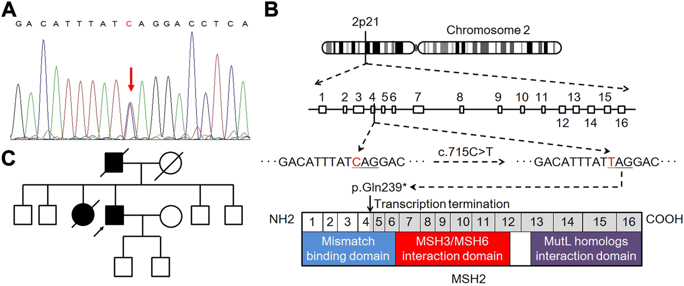 FIGURE 3