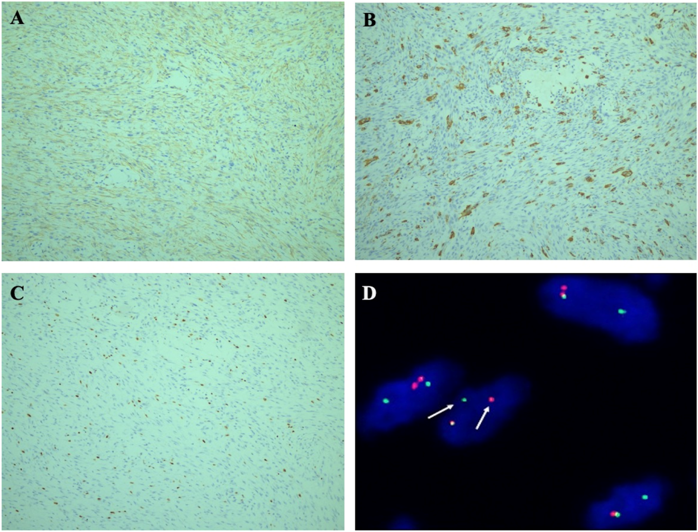 FIGURE 3