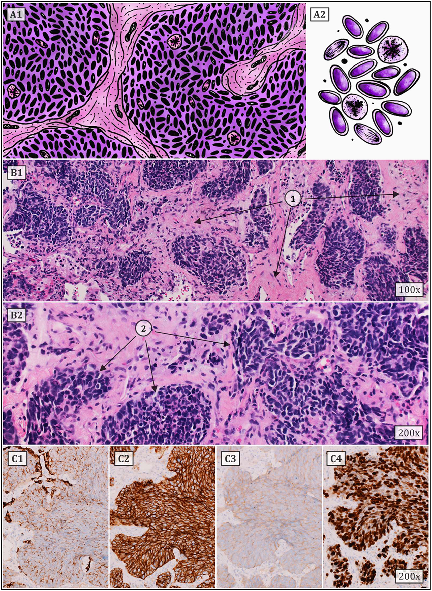 FIGURE 2