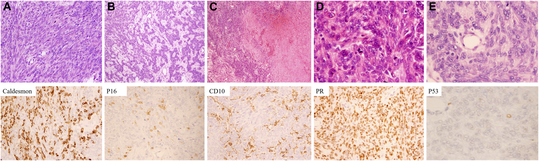 FIGURE 3