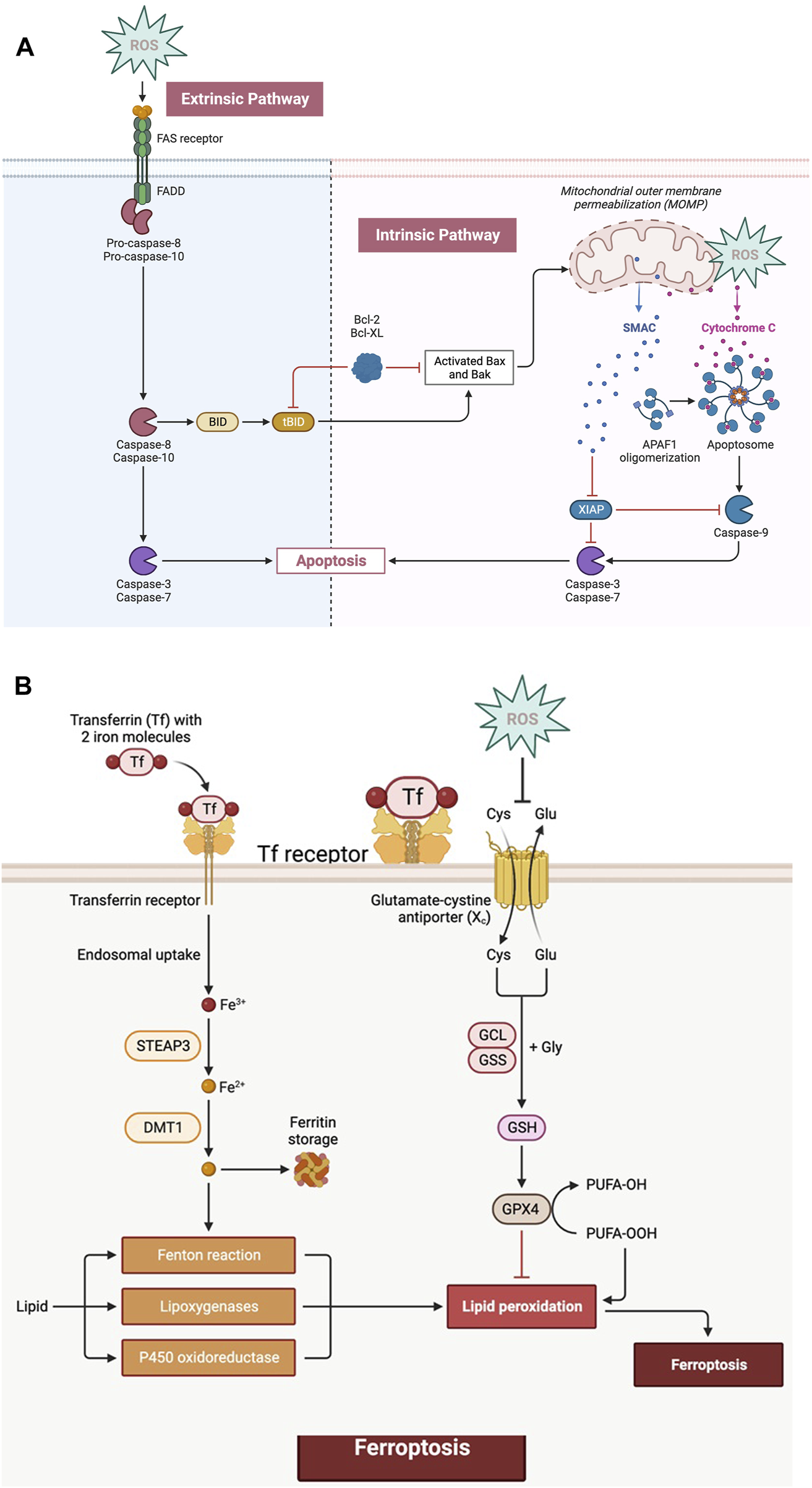 FIGURE 3