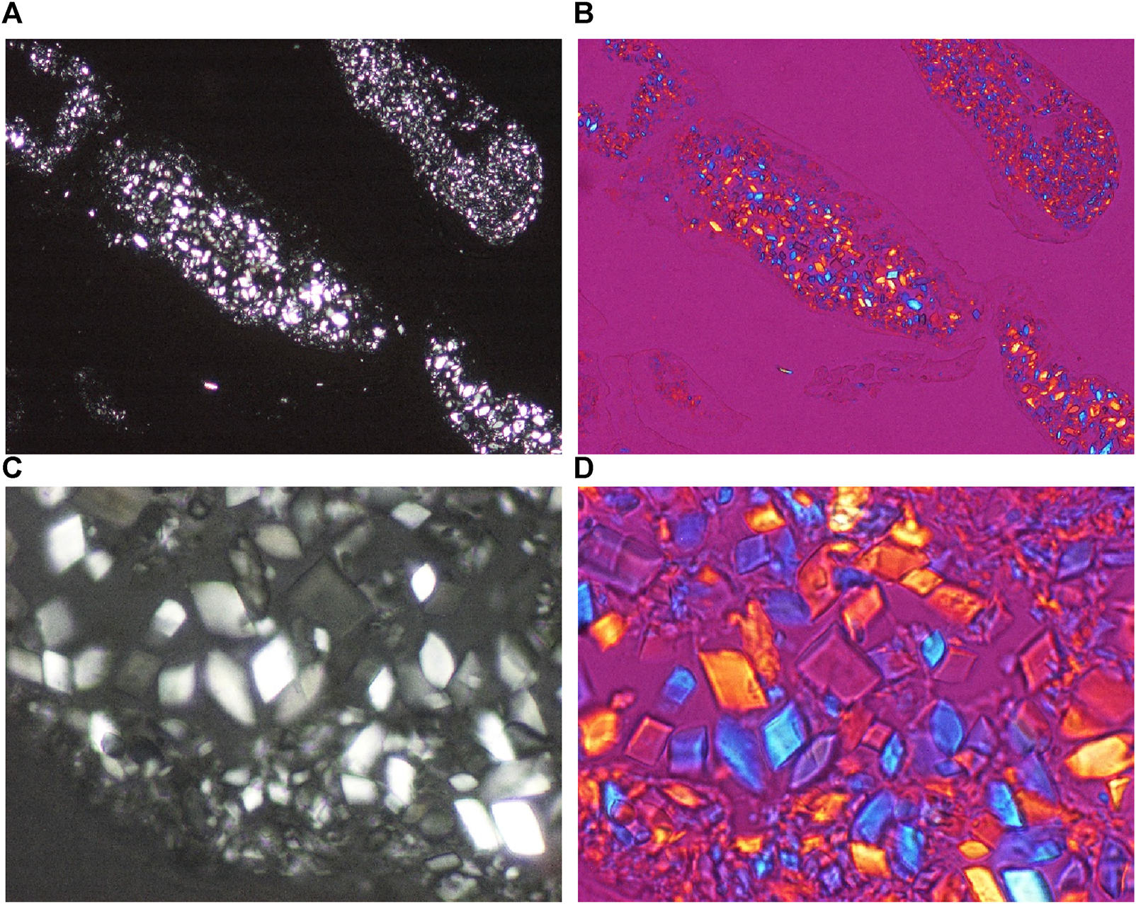 FIGURE 3