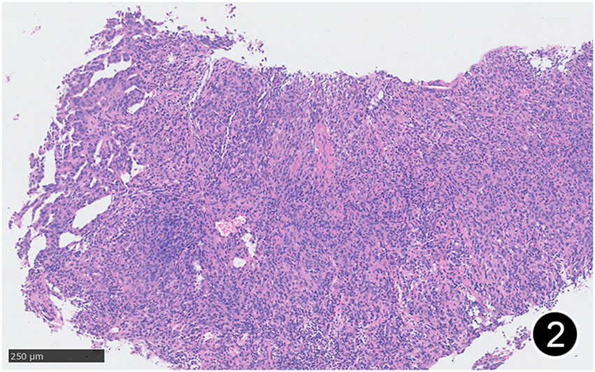 FIGURE 2