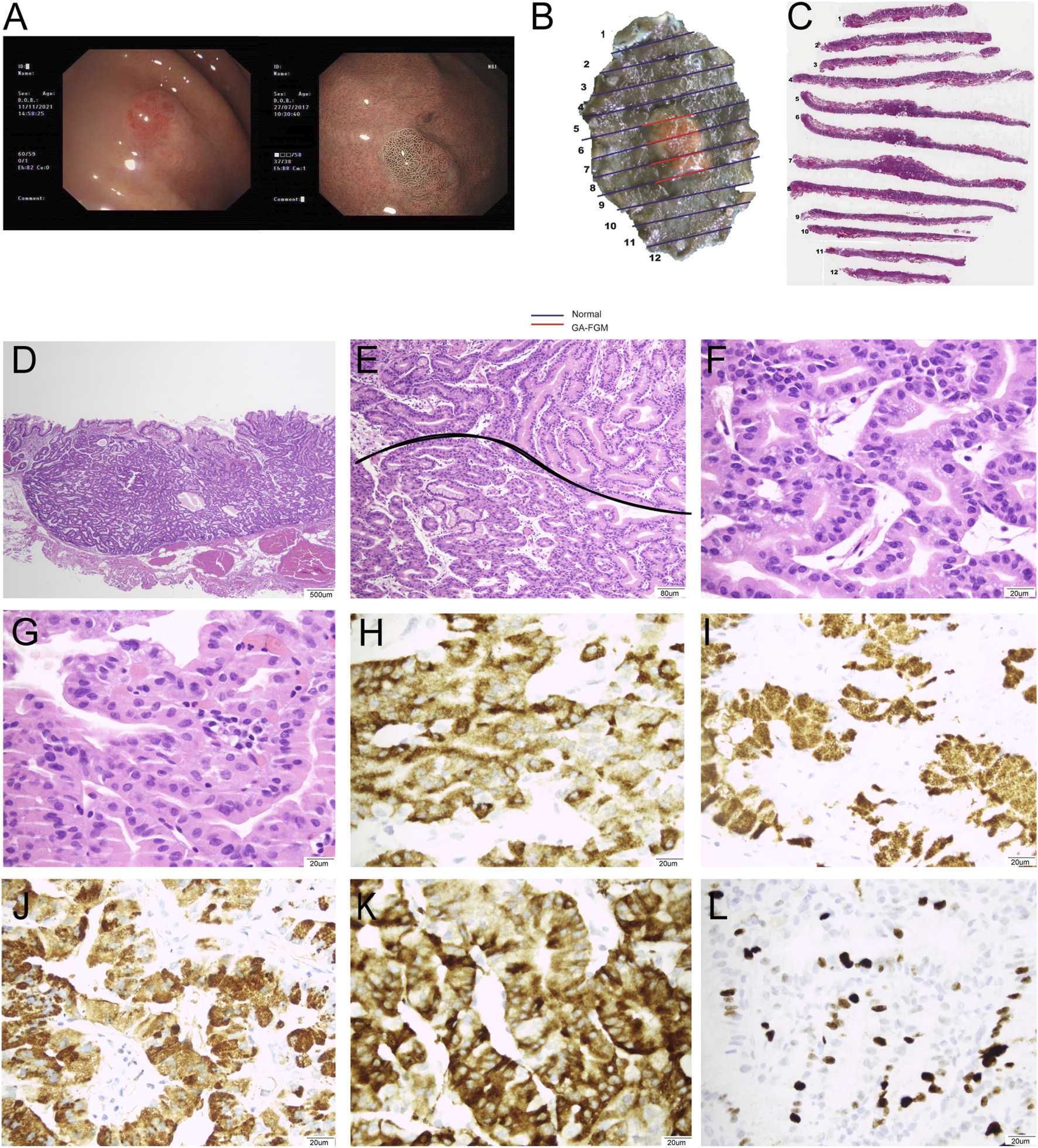 FIGURE 3