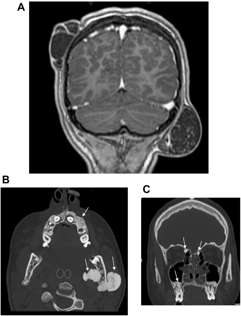 FIGURE 3