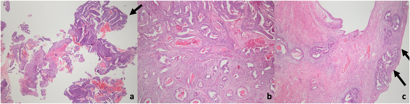 FIGURE 3