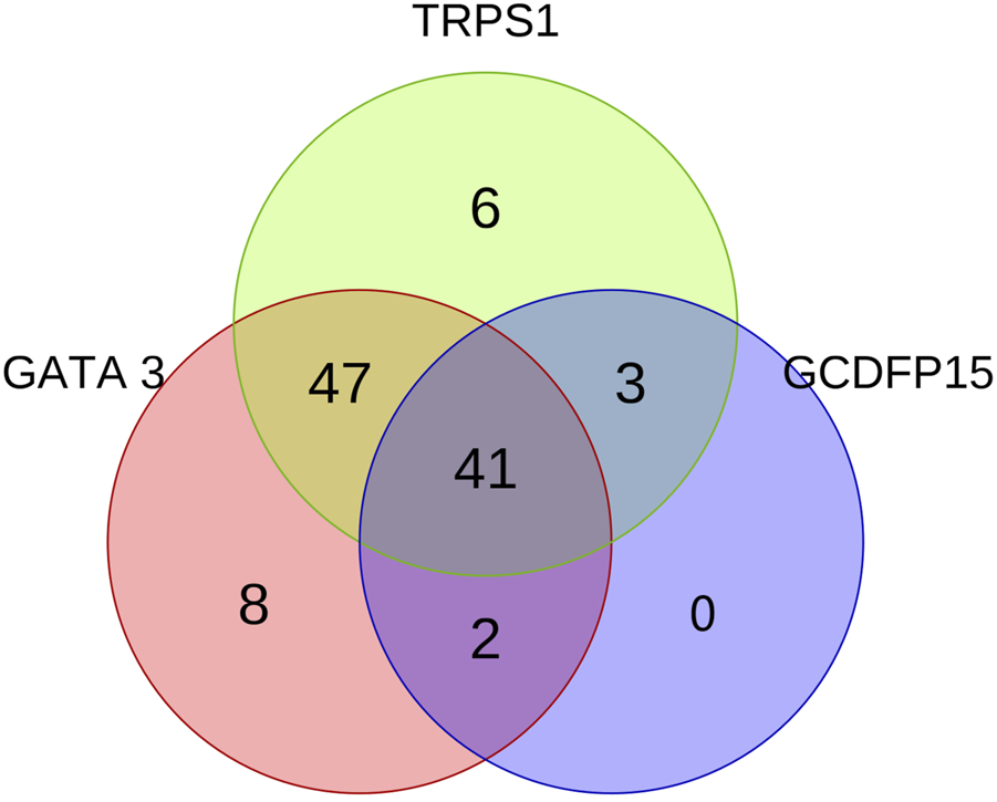 Venn diagram showing the overlap between three sets labeled TRPS1, GATA 3, and GCDFP15. TRPS1 has 6 unique elements, GATA 3 has 8 unique elements, and GCDFP15 has no unique elements. TRPS1 and GATA 3 share 47 elements, TRPS1 and GCDFP15 share 3 elements, and GATA 3 and GCDFP15 share 2 elements. All three sets share 41 elements.