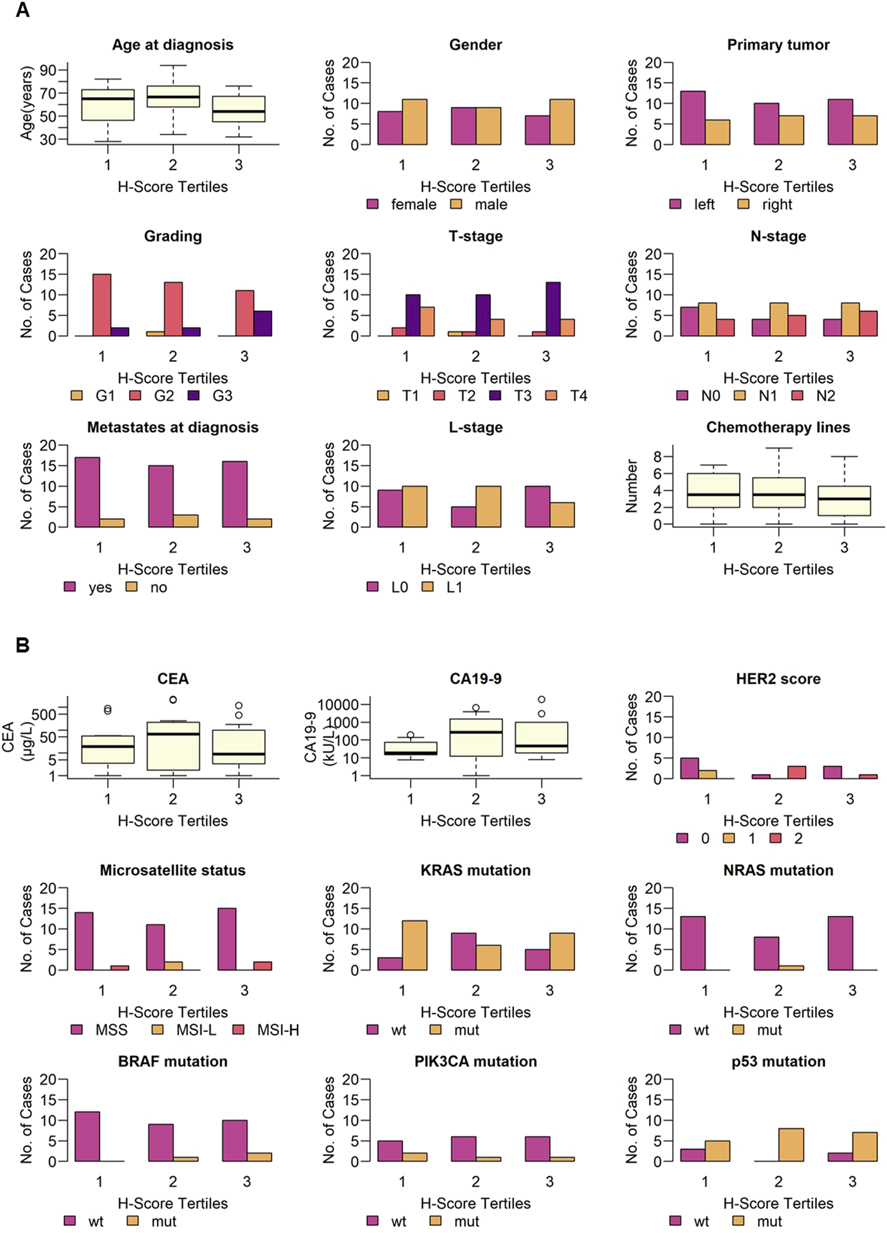 A series of box plots and bar charts depict various clinical and molecular characteristics categorized by H-Score tertiles. Measurements include age at diagnosis, gender, primary tumor location, grading, T-stage, N-stage, metastasis at diagnosis, L-stage, chemotherapy lines, CEA levels, CA19-9 levels, HER2 score, microsatellite status, and mutations in KRAS, NRAS, BRAF, PIK3CA, and p53. Each characteristic is compared across three H-Score tertiles, showing distributions and numbers of cases for different categories, such as gender, tumor stage, mutation status, and more.