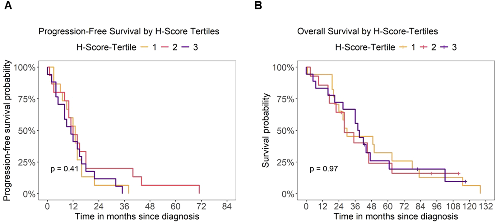 Graphs A and B show survival probabilities by H-Score tertiles over time since diagnosis. Graph A depicts progression-free survival, with three lines converging around 36 months. Graph B shows overall survival, with lines remaining close over time. P-values are 0.41 and 0.97, respectively.