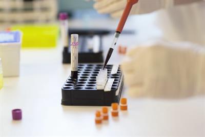 Special Issue Research topic image