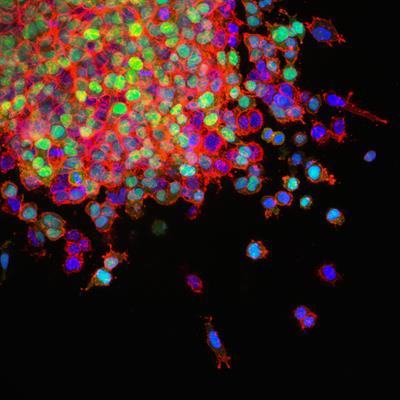 Special Issue Research topic image