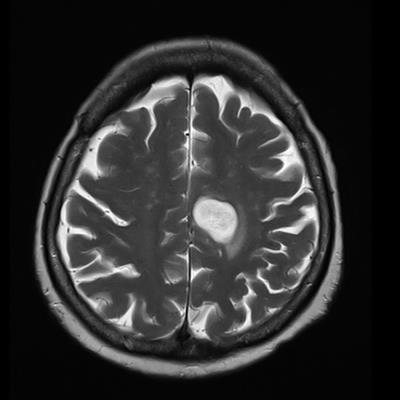 Special Issue Research topic image