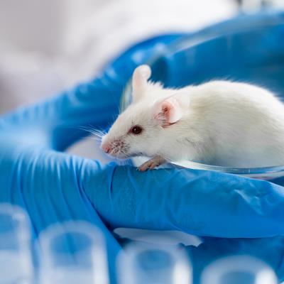 Special Issue Research topic image