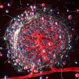 Special Issue Research topic image