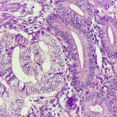 Special Issue Research topic image
